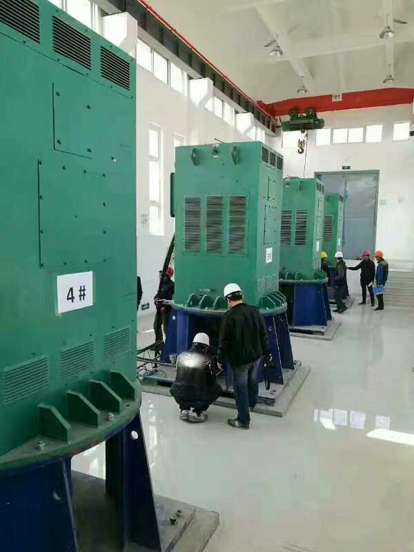 YKS450-6某污水处理厂使用我厂的立式高压电机安装现场